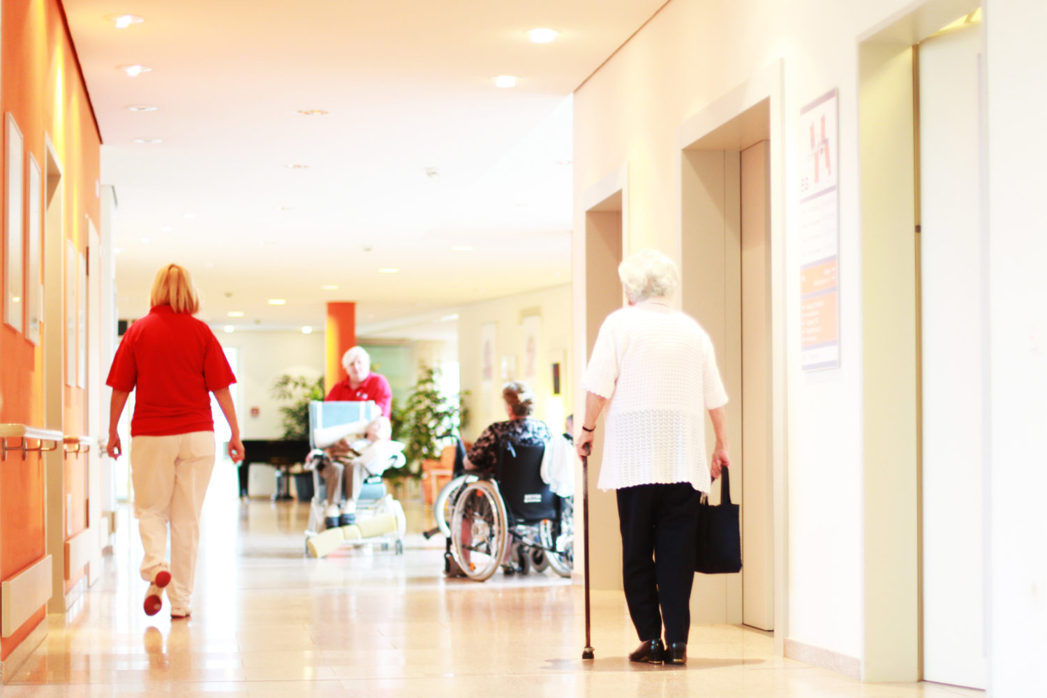 Long Term Care Dietitian's Quick Reference Guide from Dietitians On Demand