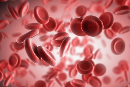 red blood cells_Dietitians On Demand