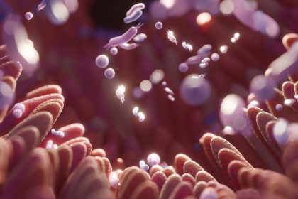 close-up shot of the intestines